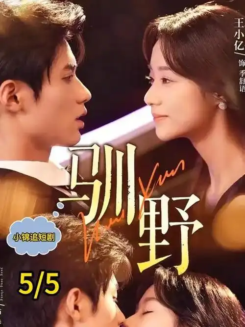 国产家庭剧我们的九零年代海报